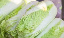 必吃大瓜 fill研究免费入口,免费入口背后的fill研究奥秘